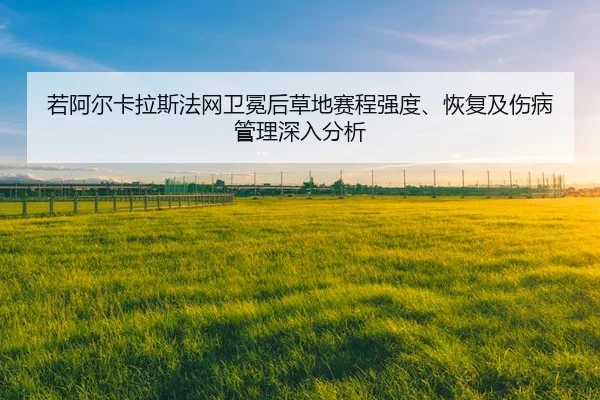 ruo-a-er-ka-la-si-fa-wang-wei-mian-hou-cao-di-sai-cheng-qiang-du-hui-fu-ji-shang-bing-guan-li-shen-ru-fen-xi-2-486.jpg